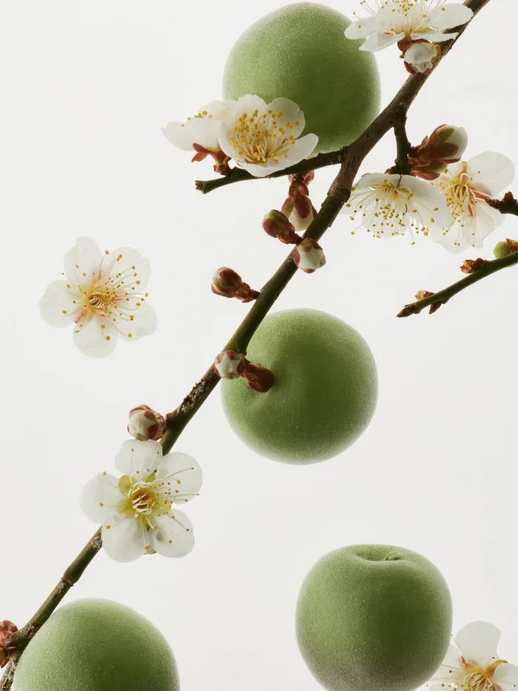 Beauty of Joseon Green Plum Refreshing Toner 150ml